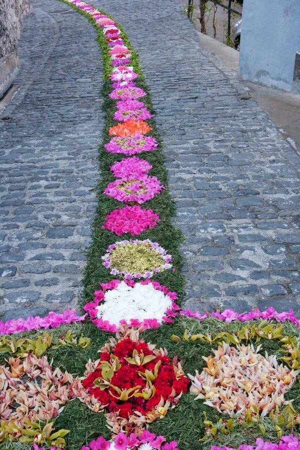 Antonella Home Funchal ภายนอก รูปภาพ